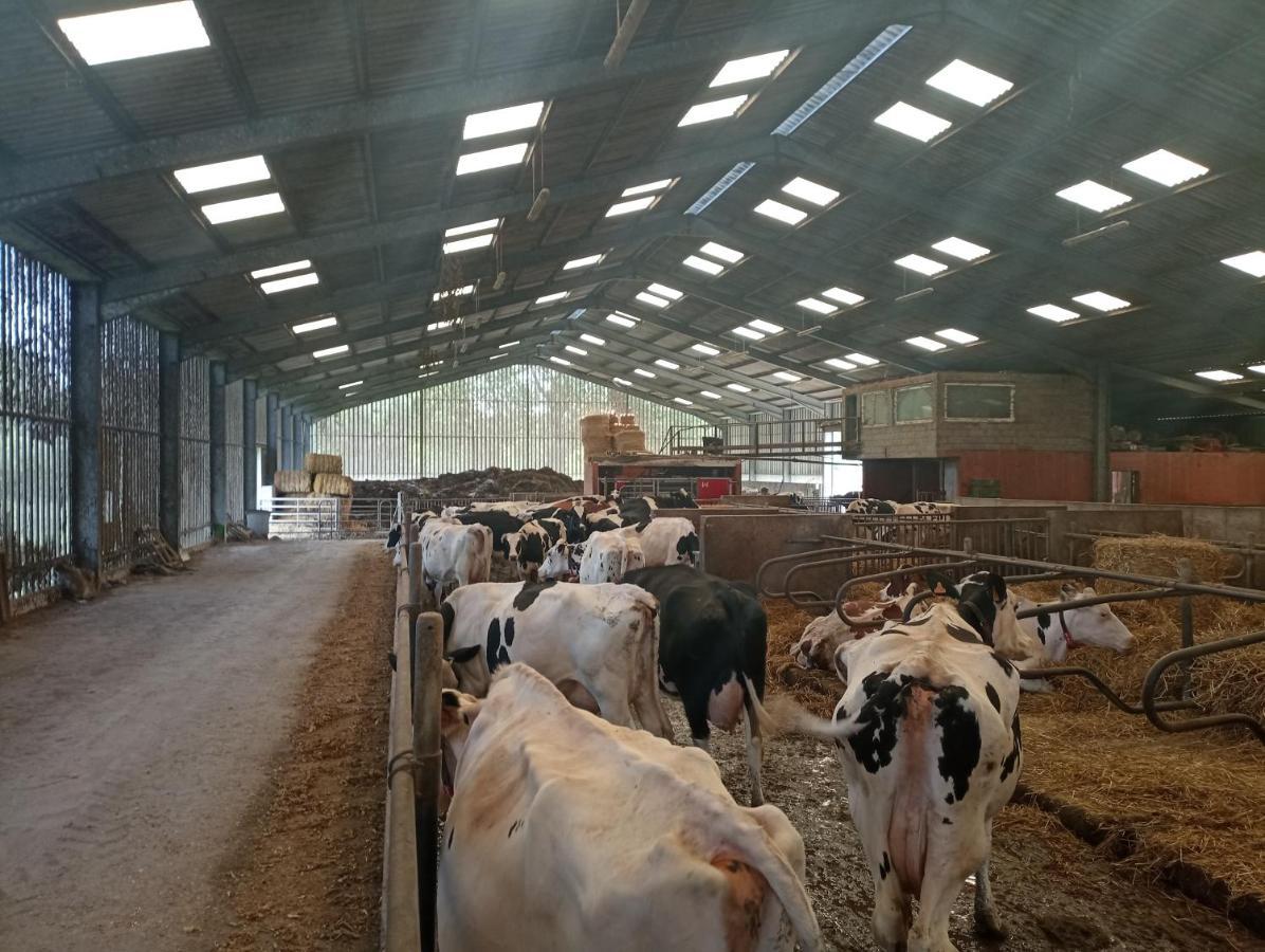 Gîte à la ferme chez Magali et Christian Escaudoeuvres Exterior foto