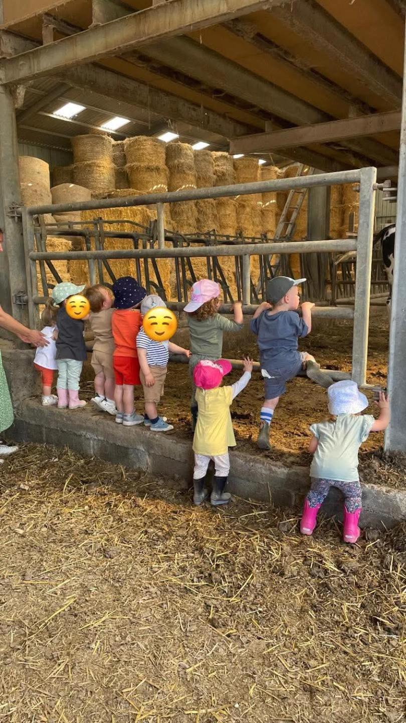 Gîte à la ferme chez Magali et Christian Escaudoeuvres Exterior foto